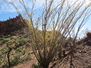 photo thumbnail #3