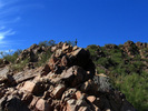 photo thumbnail #5