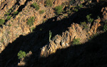 photo thumbnail #11
