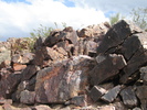 photo thumbnail #13