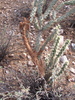 photo thumbnail #15