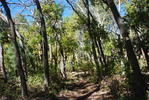 photo thumbnail #13