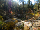 photo thumbnail #9