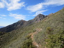 photo thumbnail #3