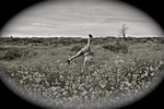 photo thumbnail #7