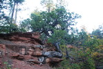 photo thumbnail #2