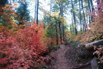 photo thumbnail #3