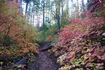 photo thumbnail #4