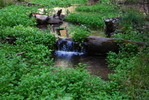 photo thumbnail #8