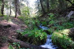 photo thumbnail #9