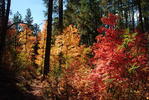 photo thumbnail #13