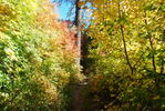 photo thumbnail #14