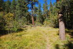 photo thumbnail #15