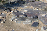 photo thumbnail #1