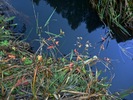 photo thumbnail #15