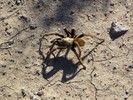 photo thumbnail #2