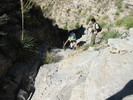 photo thumbnail #14