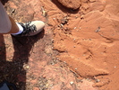 photo thumbnail #7
