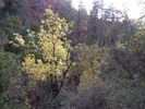 photo thumbnail #10