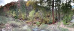 photo thumbnail #14
