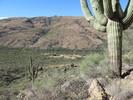 photo thumbnail #6