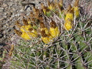 photo thumbnail #7