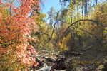 photo thumbnail #6