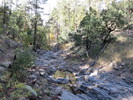 photo thumbnail #15