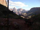 photo thumbnail #4
