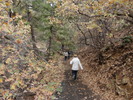 photo thumbnail #1