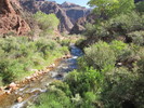 photo thumbnail #9