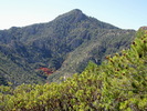 photo thumbnail #8