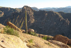 photo thumbnail #14