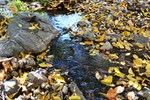 photo thumbnail #10