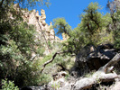 photo thumbnail #7
