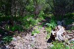 photo thumbnail #6