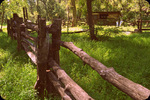 photo thumbnail #13