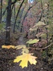photo thumbnail #3