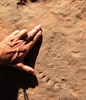 photo thumbnail #14