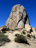 photo thumbnail #11