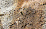 photo thumbnail #14