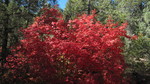 photo thumbnail #13