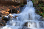 photo thumbnail #3
