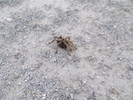 photo thumbnail #1