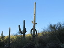 photo thumbnail #5