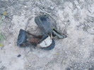 photo thumbnail #7