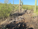 photo thumbnail #10