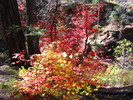 photo thumbnail #9