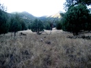 photo thumbnail #15