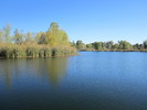 photo thumbnail #4